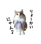 ノエル＆ルイ（個別スタンプ：1）