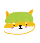 Shiba with Pomelo Hat（個別スタンプ：1）