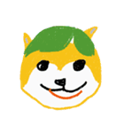 Shiba with Pomelo Hat（個別スタンプ：4）