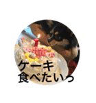 Chihuahua （空太）Happy！ 04 want to ‥（個別スタンプ：9）