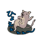 デグーのもずくん（個別スタンプ：2）