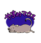 デグーのもずくん（個別スタンプ：3）
