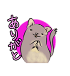 デグーのもずくん（個別スタンプ：5）