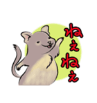 デグーのもずくん（個別スタンプ：6）