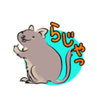 デグーのもずくん（個別スタンプ：8）