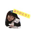 土佐の女たち（個別スタンプ：29）