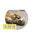 まろんパート2（個別スタンプ：2）