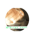 まろんパート2（個別スタンプ：6）