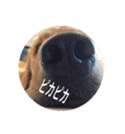 ベルクっち（個別スタンプ：4）