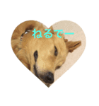 ベルクっち（個別スタンプ：8）