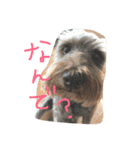 うちの王子たち（個別スタンプ：2）