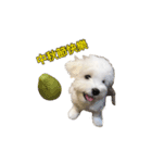 Q baby say hi（個別スタンプ：2）