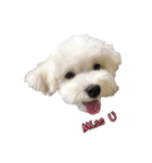 Q baby say hi（個別スタンプ：5）