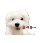 Q baby say hi（個別スタンプ：6）