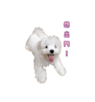 Q baby say hi（個別スタンプ：7）