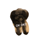 Poodle BUNNY everyday！（個別スタンプ：3）