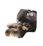 Poodle BUNNY everyday！（個別スタンプ：4）