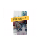 TuTu  Boy（個別スタンプ：1）