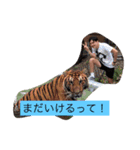 hacci everyday（個別スタンプ：11）