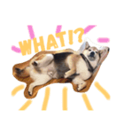 hi I'm henny（個別スタンプ：4）