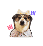 hi I'm henny（個別スタンプ：6）