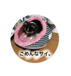 むさしとはな、たまにミミ（個別スタンプ：3）