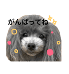 JILLスタンプ（個別スタンプ：5）