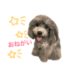 JILLスタンプ（個別スタンプ：6）