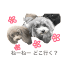 JILLスタンプ（個別スタンプ：15）