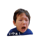 タローの日常（個別スタンプ：1）
