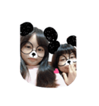 Panda Lab #1（個別スタンプ：1）