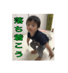 しゅーくんのすたんぷ（個別スタンプ：16）