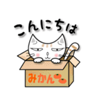 かわいい三頭身ネコ（個別スタンプ：1）