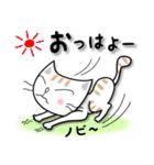 かわいい三頭身ネコ（個別スタンプ：5）