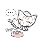 かわいい三頭身ネコ（個別スタンプ：13）