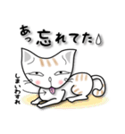 かわいい三頭身ネコ（個別スタンプ：28）