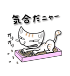 かわいい三頭身ネコ（個別スタンプ：34）