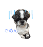 JONJOLKUN（個別スタンプ：2）