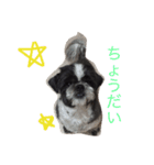 JONJOLKUN（個別スタンプ：4）