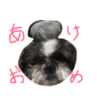 JONJOLKUN（個別スタンプ：9）