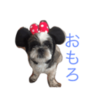 JONJOLKUN（個別スタンプ：12）