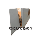 ヨークシャテリアわさびのスタンプ（個別スタンプ：2）