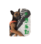 Mumu's fighting back（個別スタンプ：16）