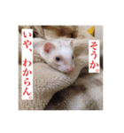 フェレ山姐御と舎弟フェレ谷（個別スタンプ：4）