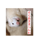 フェレ山姐御と舎弟フェレ谷（個別スタンプ：7）