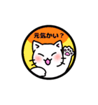 しろねこ ねこまる（個別スタンプ：1）