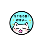 しろねこ ねこまる（個別スタンプ：2）