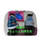 マシュー＆キュッピー（個別スタンプ：3）