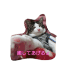 マシュー＆キュッピー（個別スタンプ：5）
