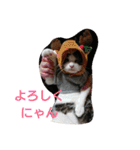 マシュー＆キュッピー（個別スタンプ：9）